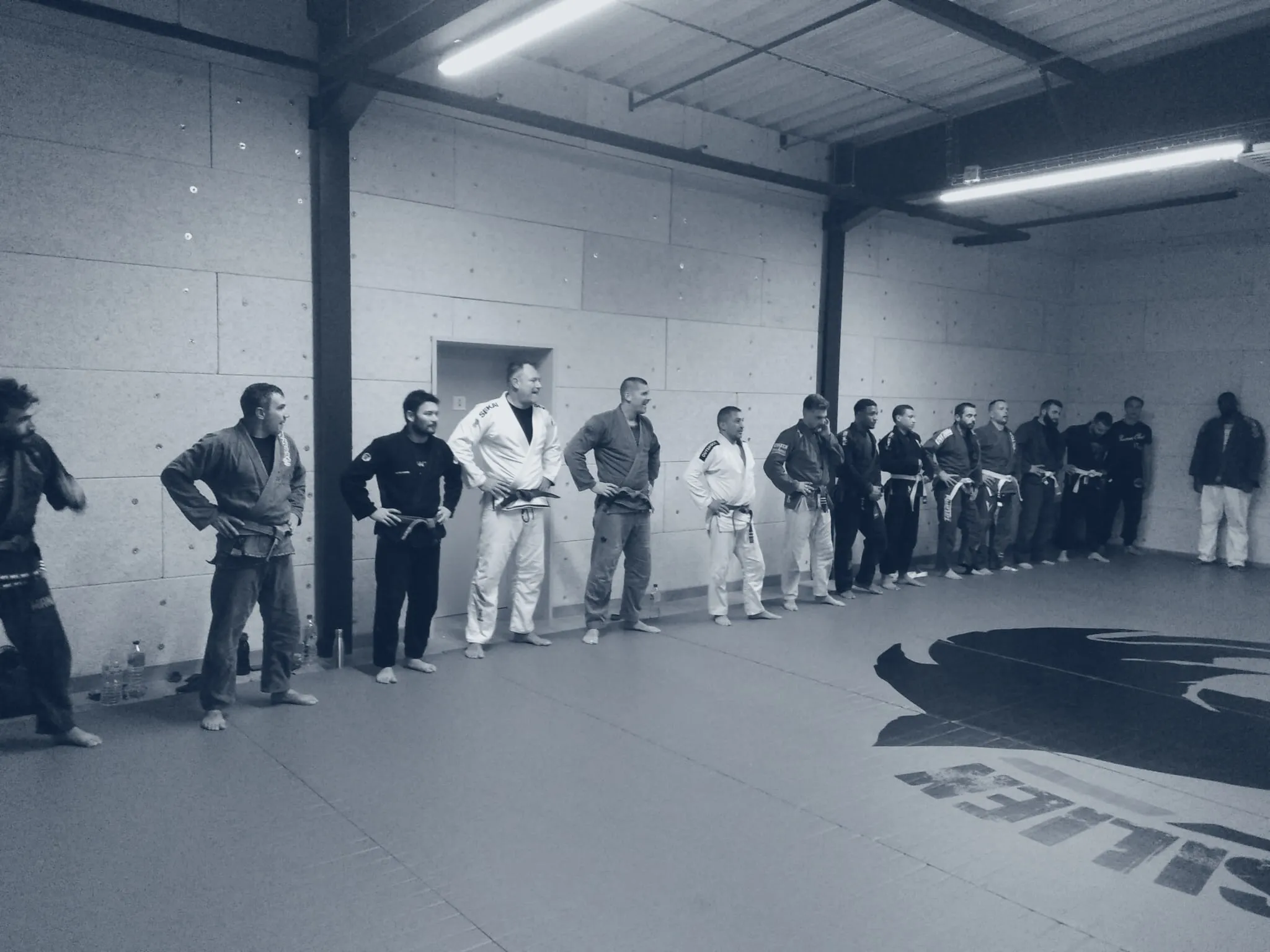 Le salut en début de cours, alignés au bord du tatami au logo du club