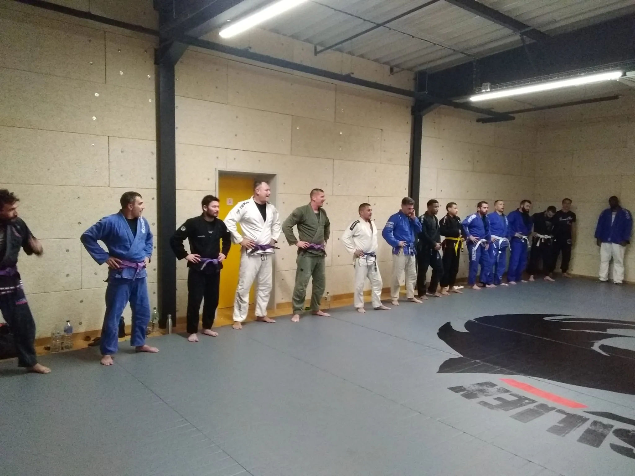 Le salut, alignés au bord du tatami